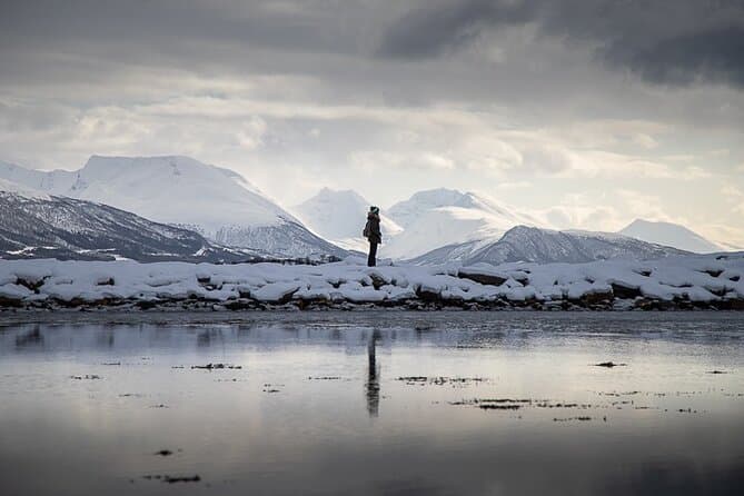 Arctic Nature Tour Tromsø