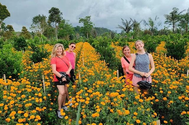 Mount Batur to Ubud – Soft Adventure Cycling