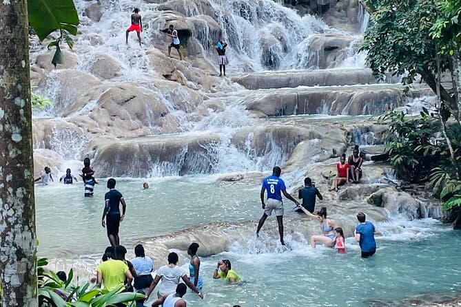 Best Dunn's River Falls & Zipline Combo in Montego Bay