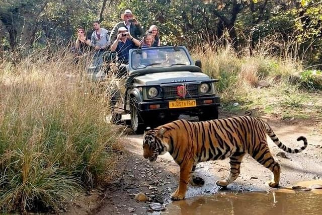 7-Day Golden Triangle Tour with Ranthambore Tiger Safari