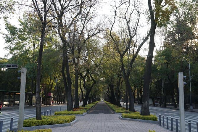 Best Guided Bike Tours in Mexico City: Explore Like a Local