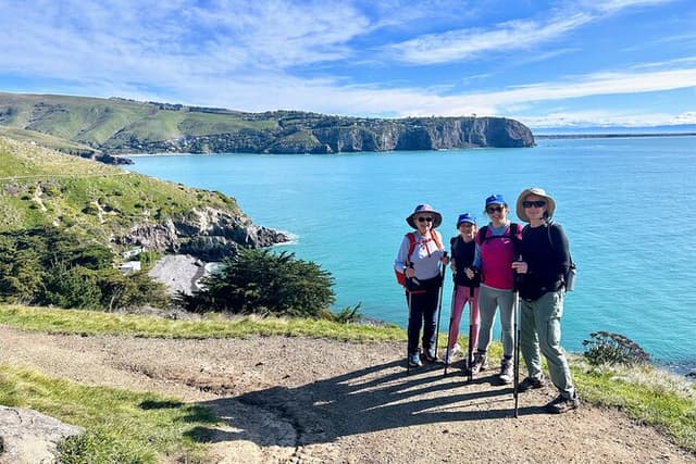 Full-Day Godley Head Coastal Hike with Picnic Lunch