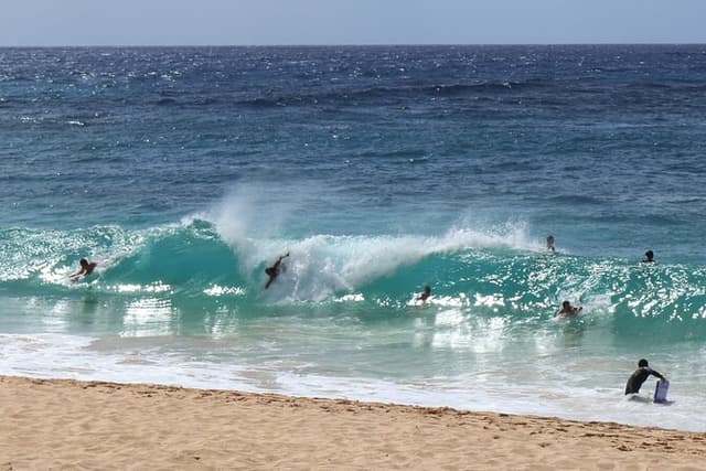 Circle Island and North Shore Half-Day Tour (NORTH LOOP)