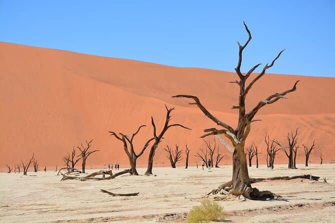 Best Sossusvlei Day Trips from Swakopmund
