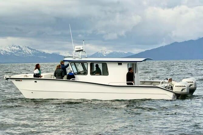 Unforgettable Whale Watching Adventures in Hoonah, Alaska