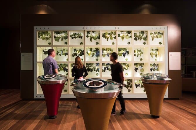 Premium Adelaide Hills Wine Tasting & Vineyard Tours