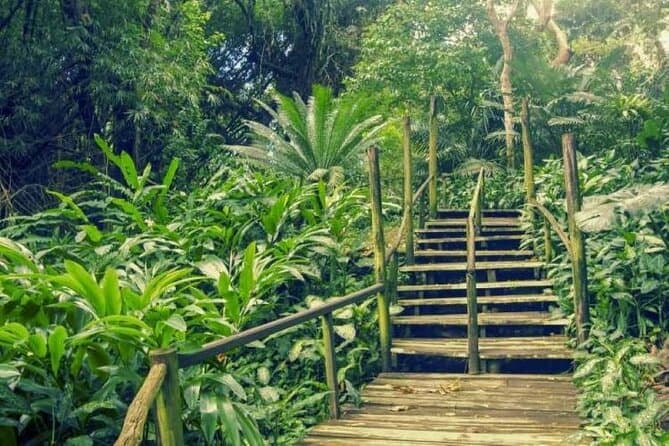 Unmissable Nadi Adventures & Top Local Attractions