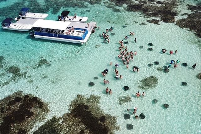 Stingray City Antigua for all the ages - ROUND TRIP INCLUDED