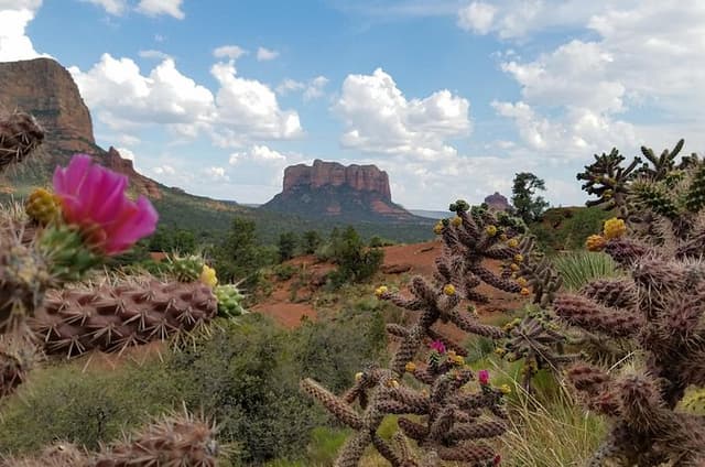 Private Sedona Day Trip from Phoenix or Scottsdale