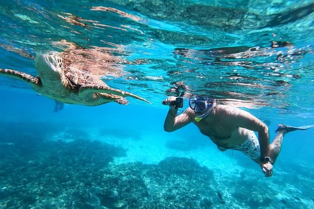 Daymaniat Islands Guided Snorkeling Adventure from Muscat