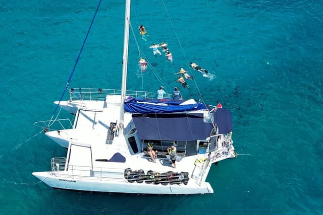 Best Waikiki Snorkel Tour: Guaranteed Turtles at Turtle Canyon