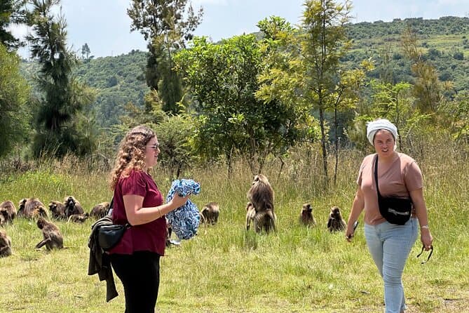 Unforgettable Debre Libanos Day Trip from Addis Ababa