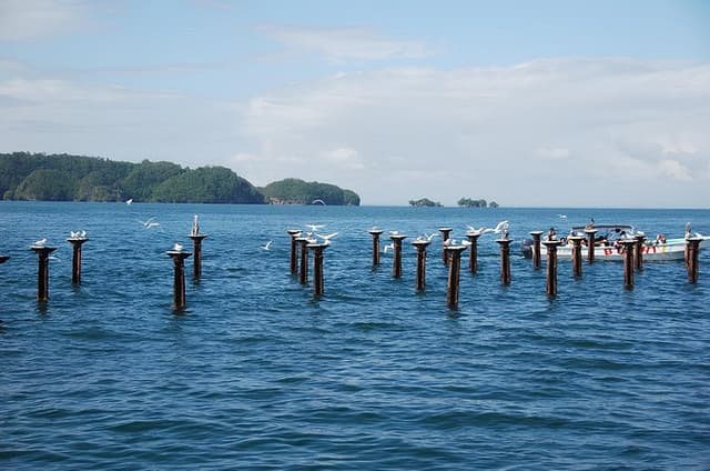 Tour of Los Haitises Montaña Redonda and Yanigua Waterfall in one day