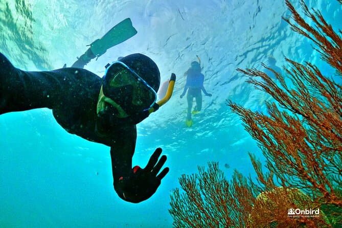 Best Scuba Diving & Coral Reef Tours in Phu Quoc