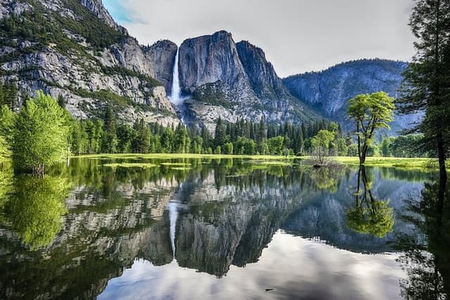 Yosemite and Giant Sequoias Day Tour