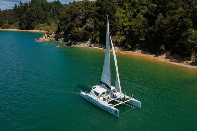 Full-Day Sailing Adventure in the Abel Tasman National Park