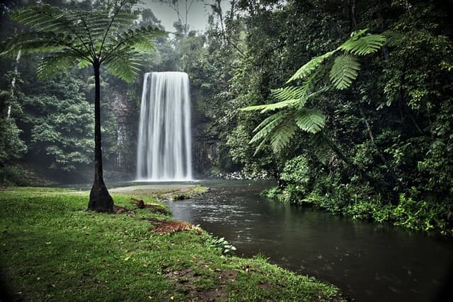 Full-day Tour at the Atherton Tablelands with Food Tasting