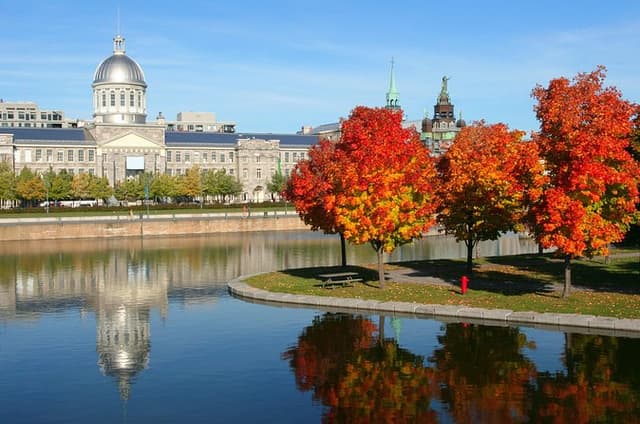 Full Day Private Shore Tour in Montreal from Montreal Cruise Port