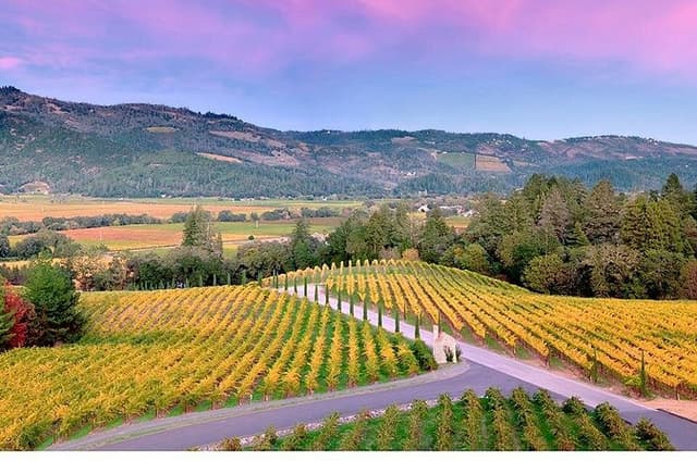 Private Napa Wine Tour Up To 4 Guests