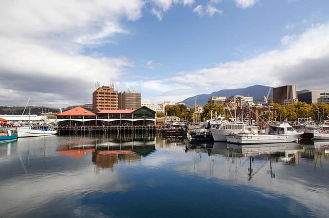 Full Day Private Shore Tour in Hobart from Hobart Cruise Port