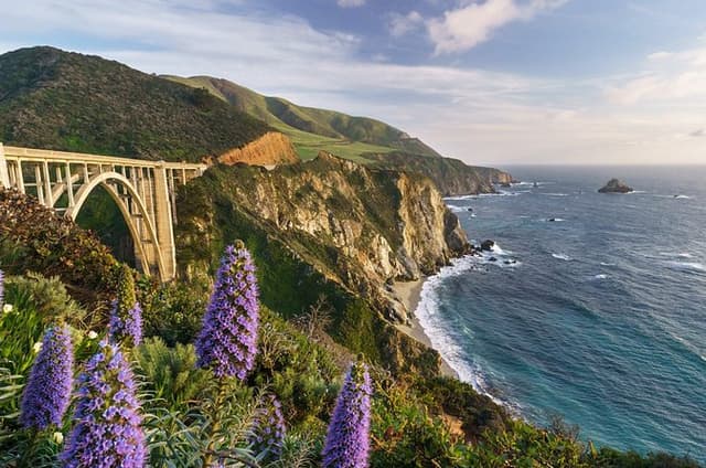 Half Day Private Big Sur Driving Tour in California