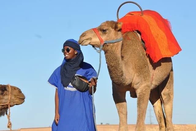 Marrakech: Camel ride in the palm grove
