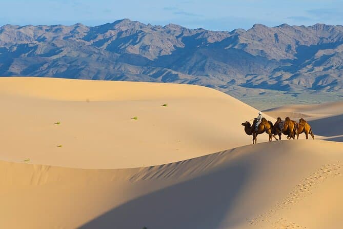 Day Tour Winter Mongolia