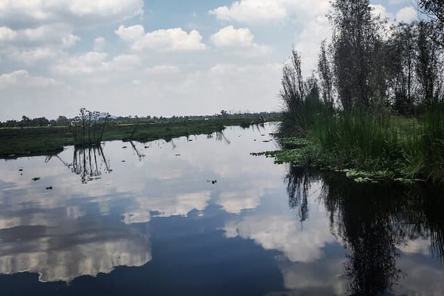 Pre-Hispanic Xochimilco, local food included and ajolotario.