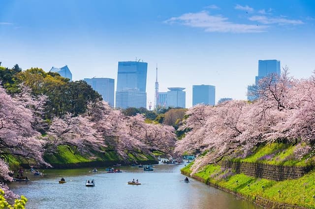 Full Day Private Shore Tour in Tokyo from Tokyo Cruise Port