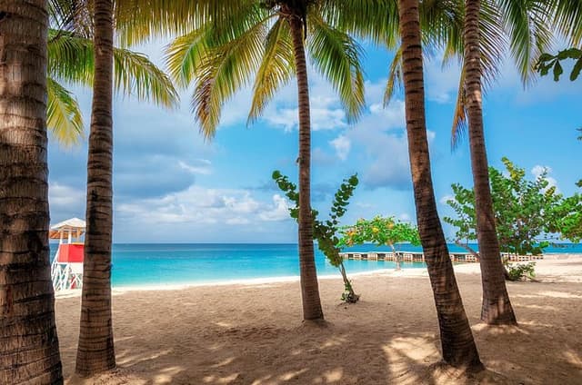 Full Day Private Shore Tour in Montego Bay from Ocho Rios Port