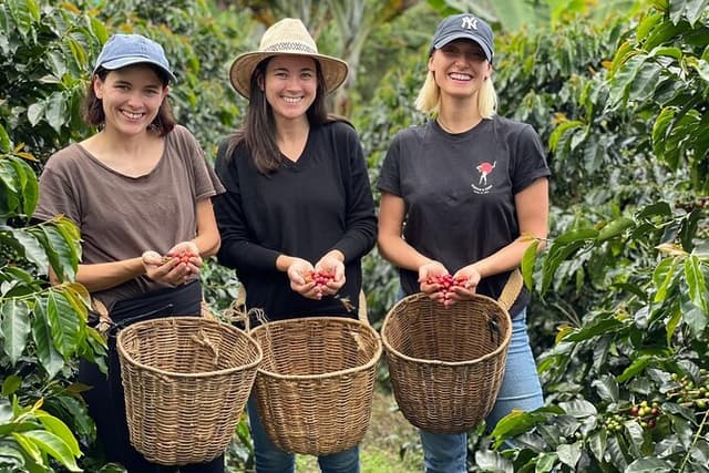 Coffee Tour and Jeep Tour at Finca Mariposa in Jardin