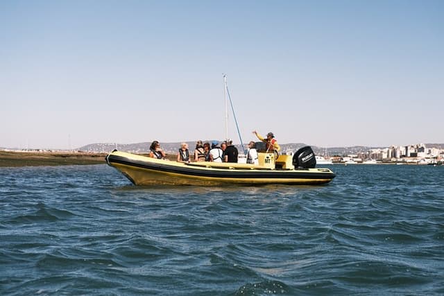 From Faro: Ria Formosa Eco Tour guided by Marine Biologist