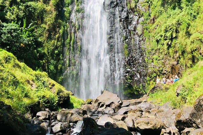 Compare Top-Rated Coffee Tours in Moshi