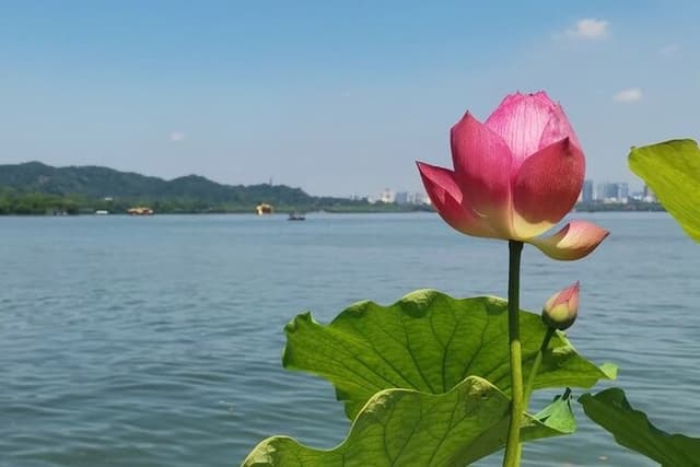 All Inclusive Tour of Lingyin Temple and Pagoda of Six Harmonies
