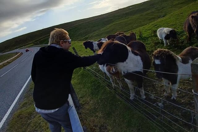 Ponies Express Private Tour to Scalloway