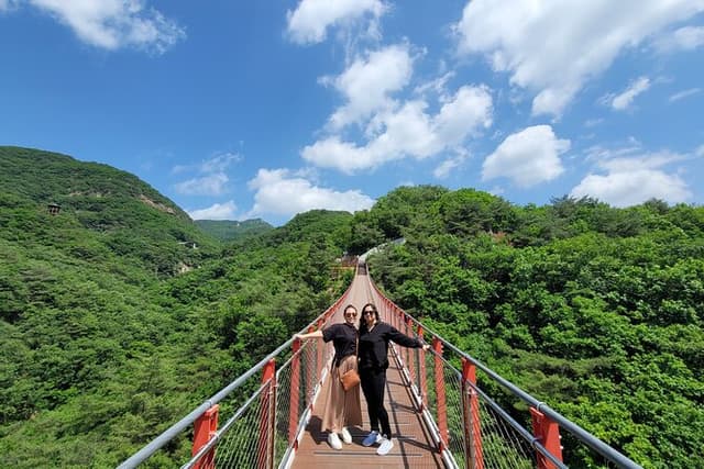 Seoul : Private DMZ Tour with Suspension Bridge