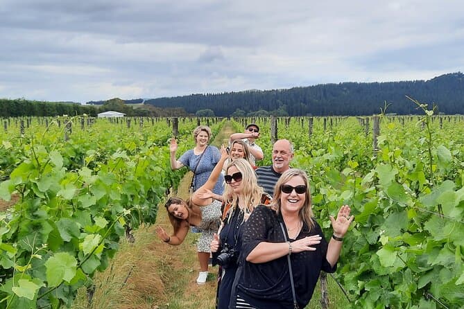 Compare Top Martinborough Wine Tours from Wellington