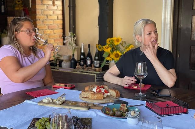 Plesivica countryside Wine Tasting