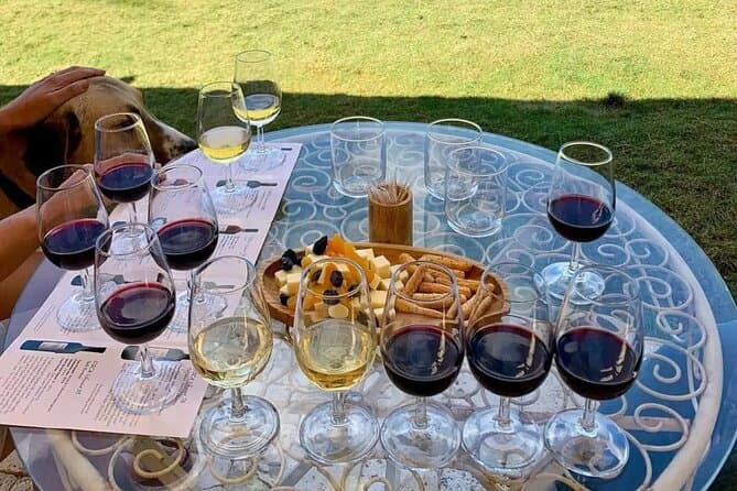Best Izmir Wine Tours & Tastings