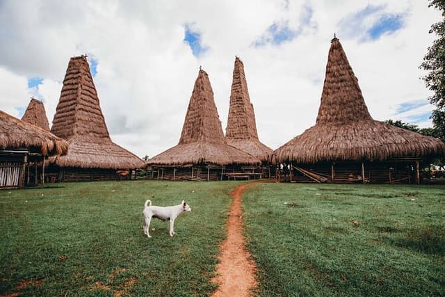 3 Days 2 Nights Explorer Sumba Island