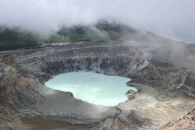 From San José: Poas Volcano, local coffee farm and birdwatching