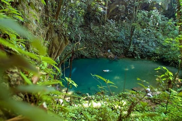 Half Day Bird Watching Blue Hole National Park Tour
