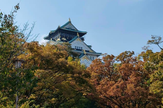 Best Private Tours in Osaka: Authentic Local Experiences
