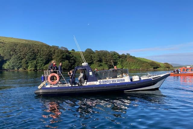 Private family sea safari