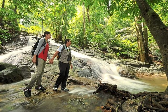 Explore FRIM UNESCO Forest with Expert Guide, Batu Caves & More