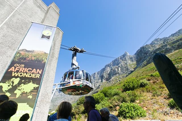 Table Mountain, Penguins & Cape Point Small Group Tour Cape Town