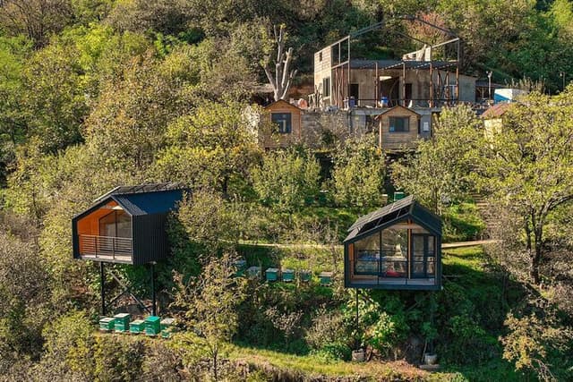 Beekeeping and Honey Wine Making Private Experience in Alaverdi