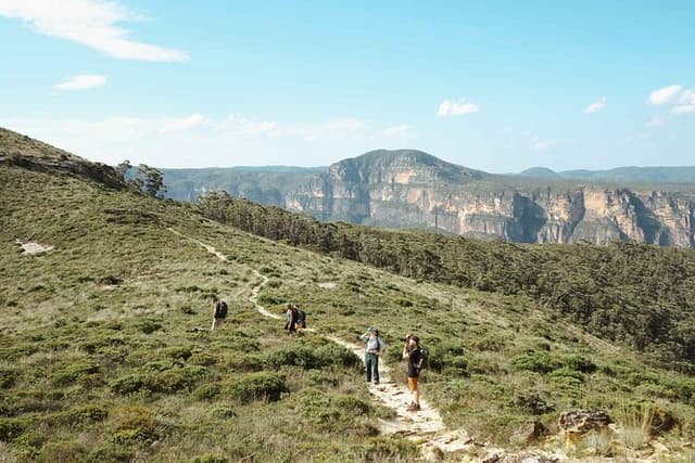 Private Blue Mountains Tour | Waterfalls, Koalas & Views