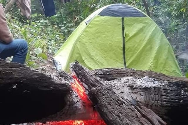 Chitwan National Park Safe CampFire Night Stay From Madi Side