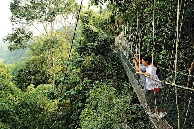 Taman Negara Day Trip